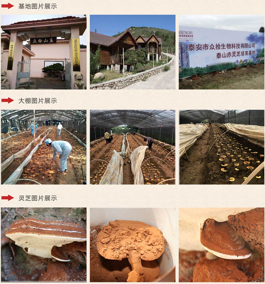 山东众拾简介