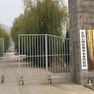 泰山众拾万亩灵芝园