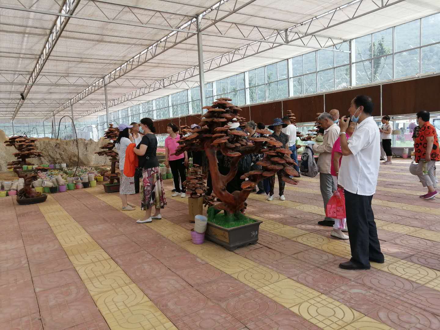 微信图片_20200707162658.jpg