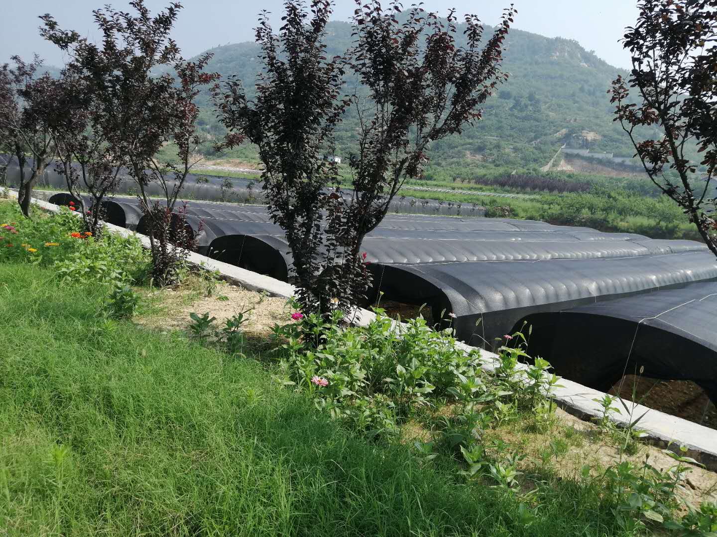 微信图片_20200707162710.jpg