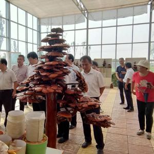 领导视察